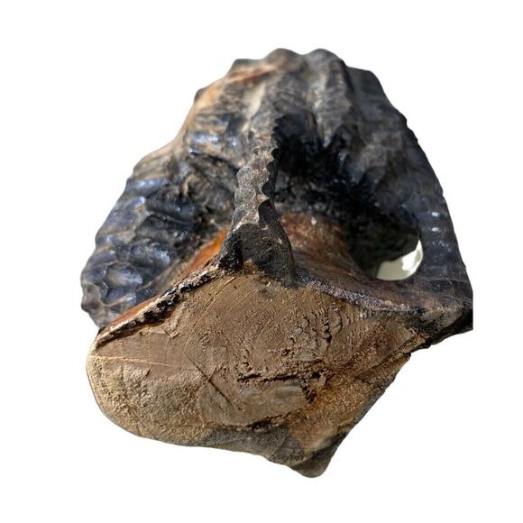 Carved Wood Man Dreadlocks Beard Bust Head Rastafari Brown Sculpture Folk Art - Picture 5 of 6